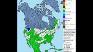 4CHAN RISK SIMULATOR 1.0