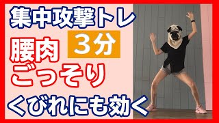 腰肉ごっそり！くびれにも効果がある最強のトレ3分Love Handles Muffin Top Workout