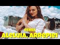 Dennis Dj Funk Da Rafa Kalimann Aleluia Arrepiei Ouvir Musica dennis dj funk da rafa kalimann