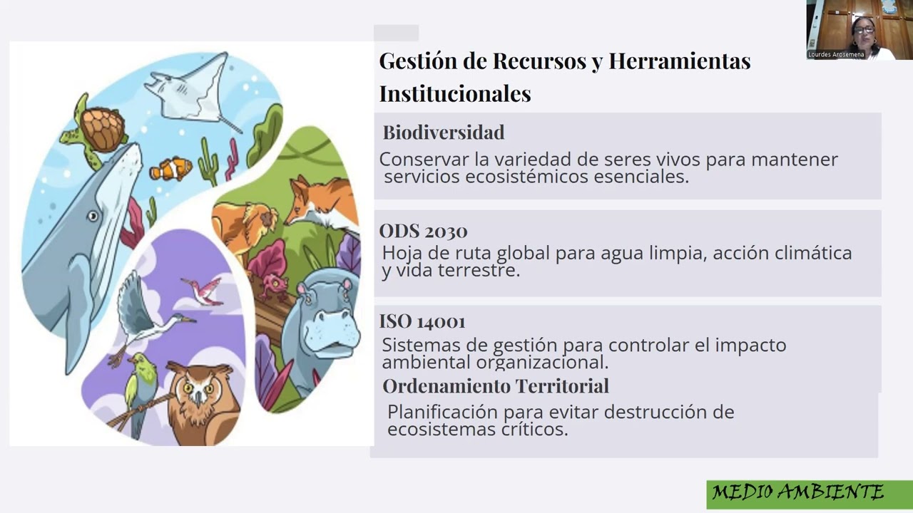 Unidad II - Desarrollo Sostenible y Gestión Ambiental - Prof. Lourdes Arosemena