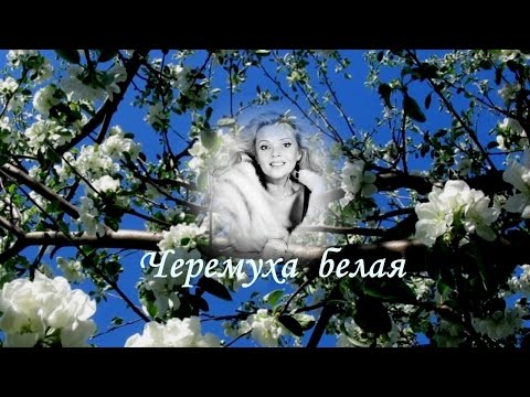 Марина Журавлева. Белая