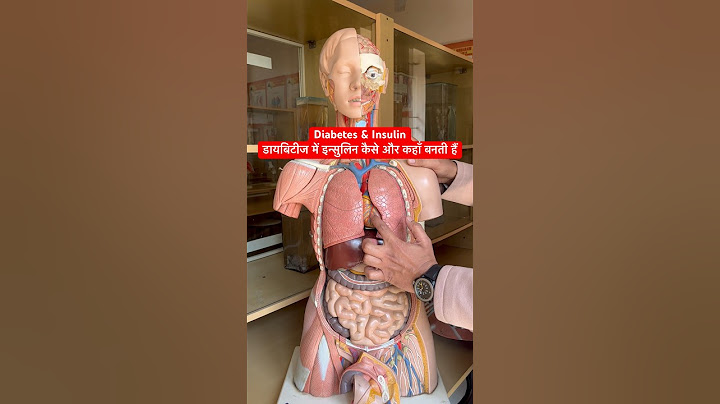Diabetes, Insulin & Pancreas । डायबिटीज में इन्सुलिन कैसे और कहाँ बनती हैं #viral #shorts #trending