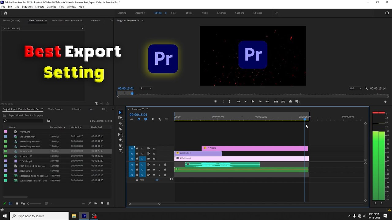 Best Export Settings in Premiere Pro | Export High Quality Video Without Losing Quality