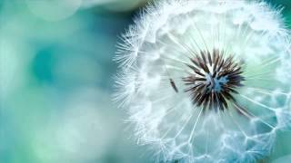 'Floating in The Air' Best Liquid DnB Mix 2013 (►Mix #24◄)