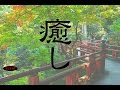 Relaxing Piano Background Music - Music For Relax,Study,Work
