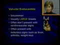 19 small animal cardiology