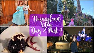 Disneyland Vlog 2017 | Day 2 Part 2
