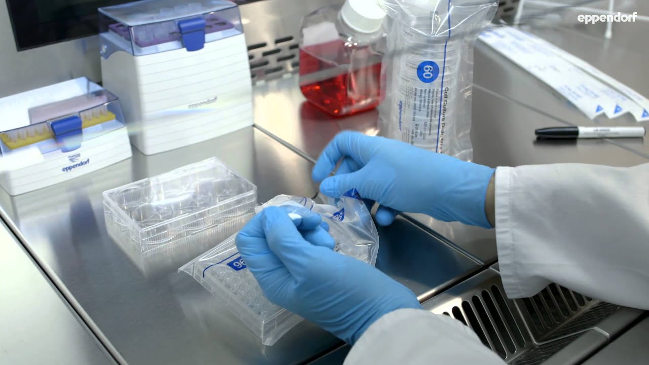 Preventing Contamination In The Cell Culture Lab