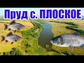 ПРУД с. ПЛОСКОЕ ОБЗОР с ВЫСОТЫ, Харьковская область, Украина. Рыбалка 2020