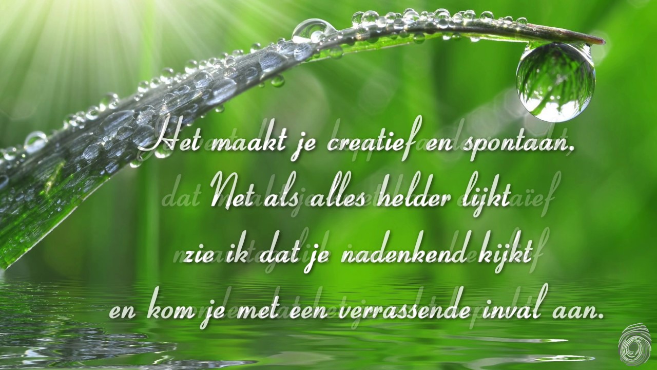 Gedicht Arwin Wels - je bent heel bijzonder - voor altijd bijzonder v3