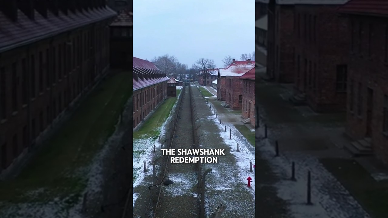 Top 5 Highest Rated Movies on IMDb 