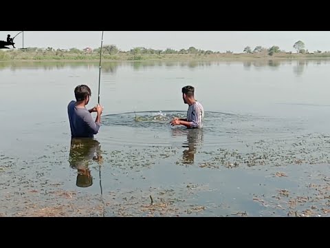 वीडियो: अपने प्रिय के लिए रात का खाना कैसे पकाएं