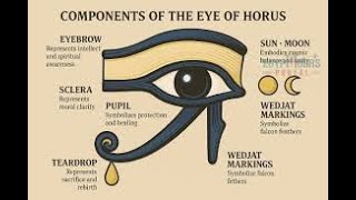 Cataract Surgery Ancient Egyptians   4K