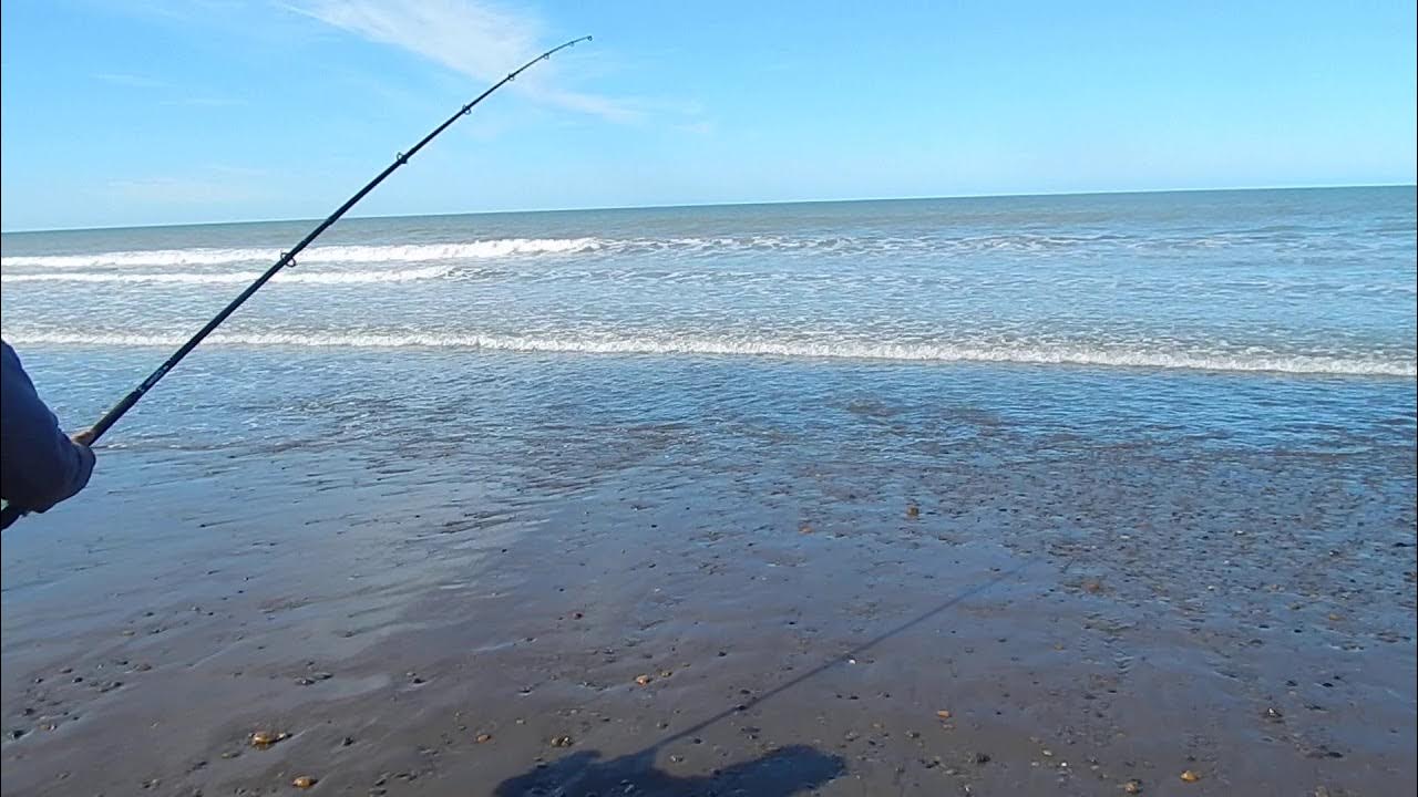 Bahia San Blas...Pez Elefante ! YouTube