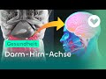 Darm-Hirn-Achse - Der geheimnisvolle Kommunikationskanal Mp3 Song