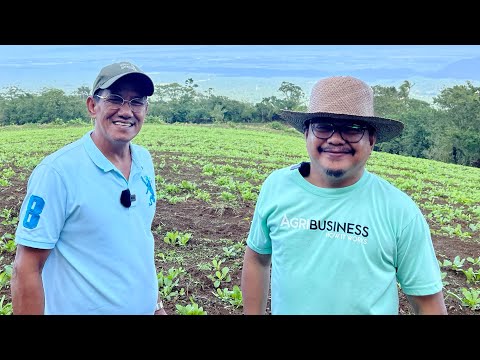 Video: Paano Magluto Ng Isang Hodgepodge Ng Mga Sariwang Porcini Na Kabute O Champignon