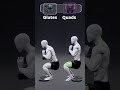 ❌ You're Training Legs WRONG | Grow Glutes &amp; Quads Faster