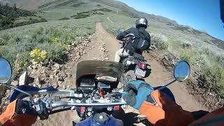 Cruisin' The Sweetwaters on Betty Boop The TW200