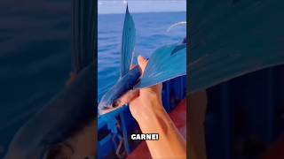 This Fish can Fly in the Air #youtubeshorts