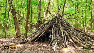 4K, Into the Forest | Nature in Germany | Sound of Nature | ASMR | Ambient