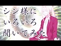 シン様にいろいろ聞いてみた!  アニメ『えぶりでいホスト』特別企画
