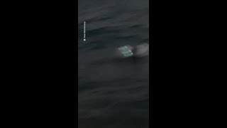 Diver Lost At Sea Reunited With His Family