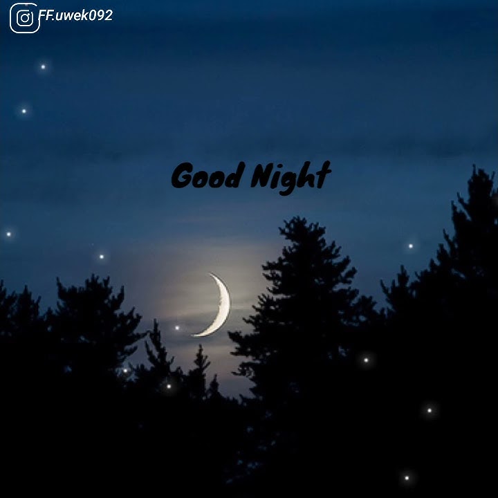 STORY WA 30 DETIK//STORY WA KEKINIAN//GOOD NIGHT