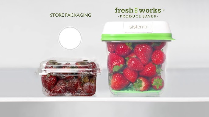 Fresh Works Produce Saver by Rubbermaid, Food Saver Review 