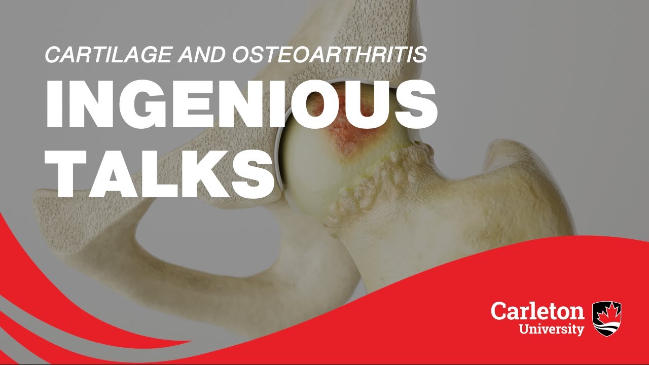 Cartilage and Osteoarthritis: Biomechanics and Medical Image Analysis - Ingenious Talks