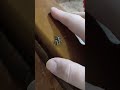 Contact!