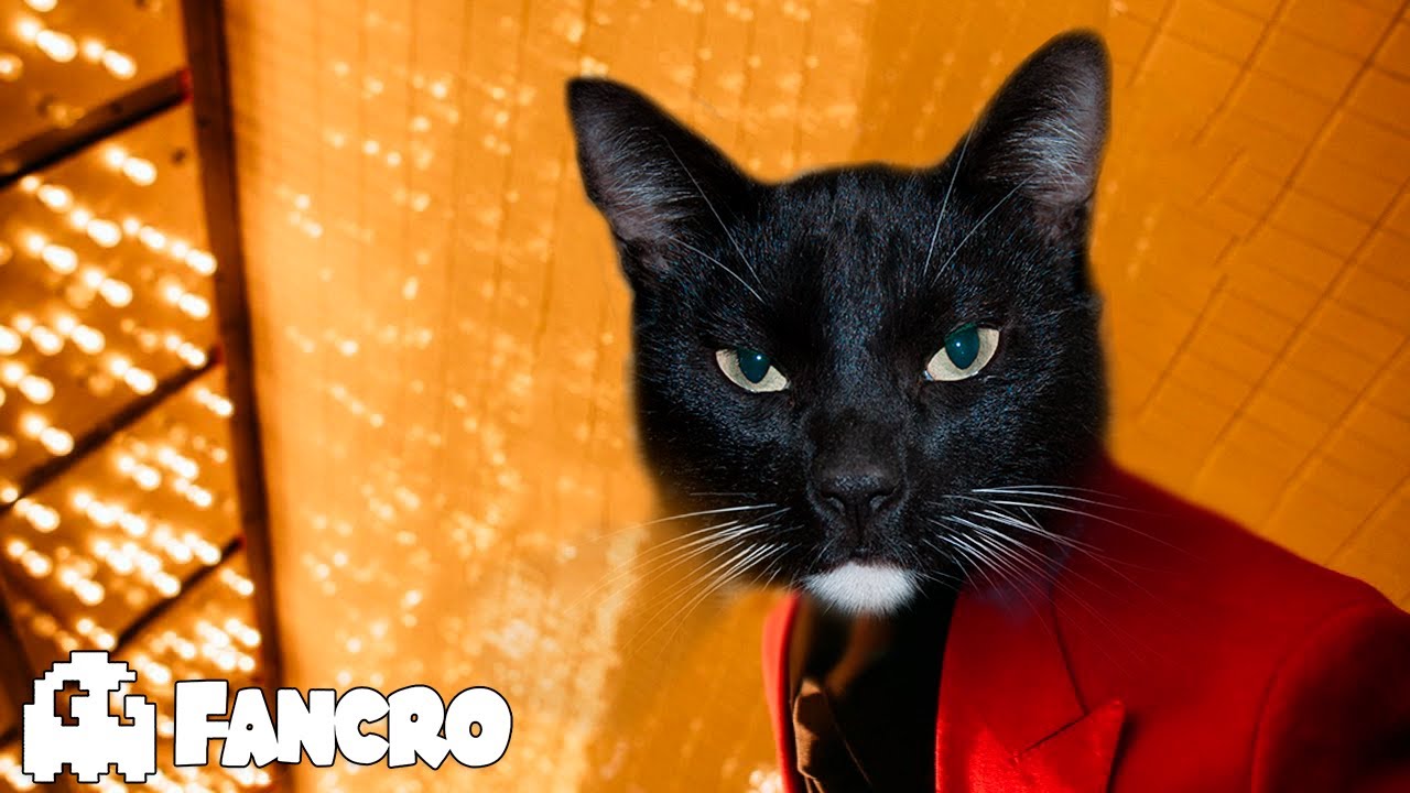 The Weeknd - Blinding Lights (Cover Gatos)