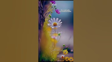 سورة ال عمران         surah Ali Imran