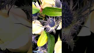 Elegant flower bouquet in America 🍾 Елегантный букет цветов в Америке 🕊️