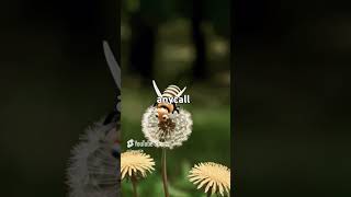 Samsung Startup And Shutdown Sph 2J30