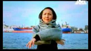 Schmuf Hamburg Allstars - OOH