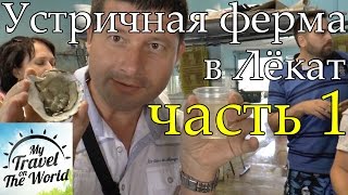 Устричная ферма в Лёкат - Ллорет-де-Мар - Франция Устричная ферма в Лёкат - Ллорет-де-Мар - Франция