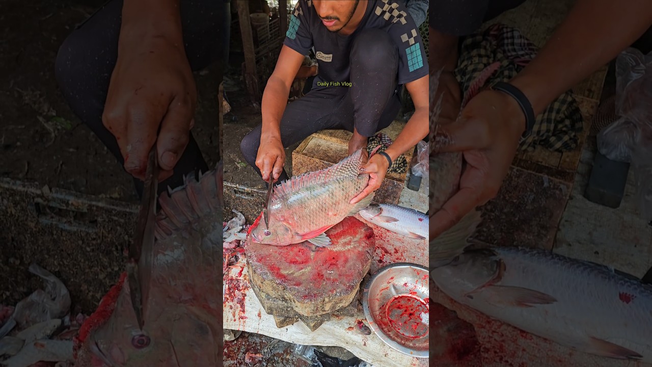 Best! Behind the Scenes Daily Life and Unseen Work Tilapia Fish Cutting Skills 😱 