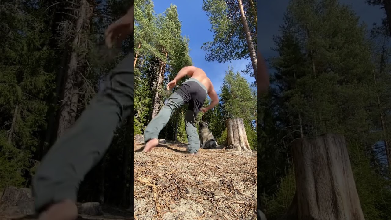 Training Time ⚔️⚔️