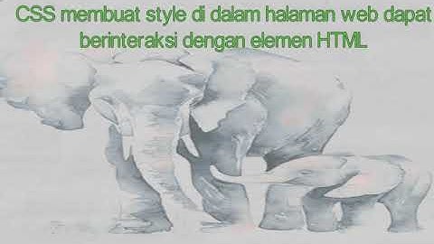 Materi Pemrograman Web dan Perangkat Bergerak || SMK Grafika Bina Media || RPL