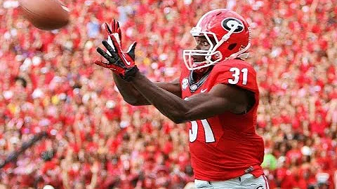 Chris Conley Career Highlights