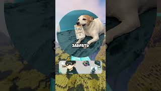 Бара забрала деньги 🐕 #мем #кружки #мемы #meme