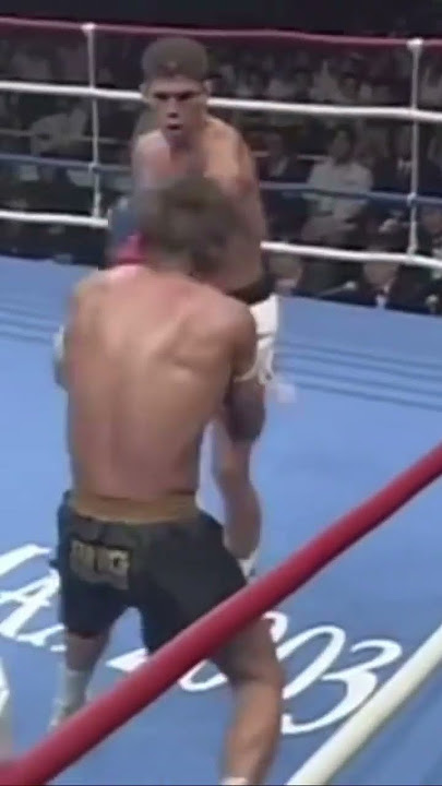 Masato destroys albert kraus🥊 #boxing #fight #mma #muaythai #ufc #kickboxing #usa #thailand