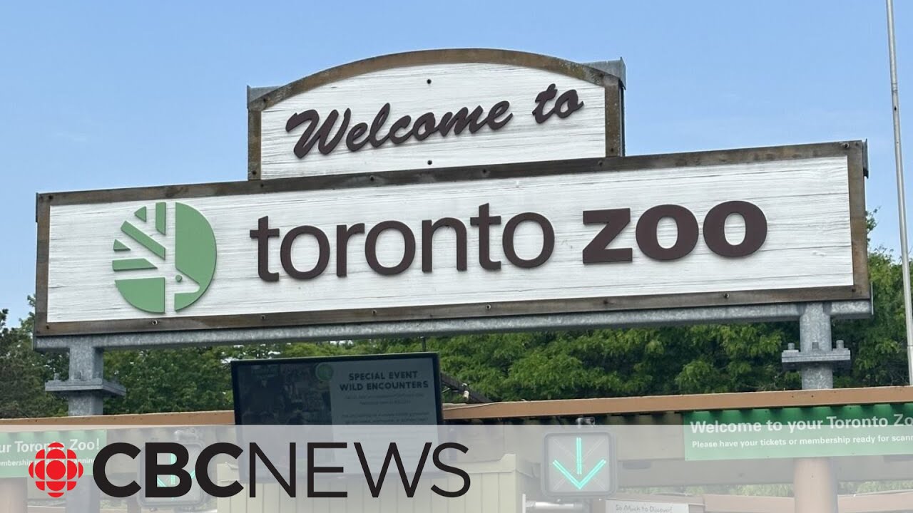 Toronto Zoo hit by ransomware attack