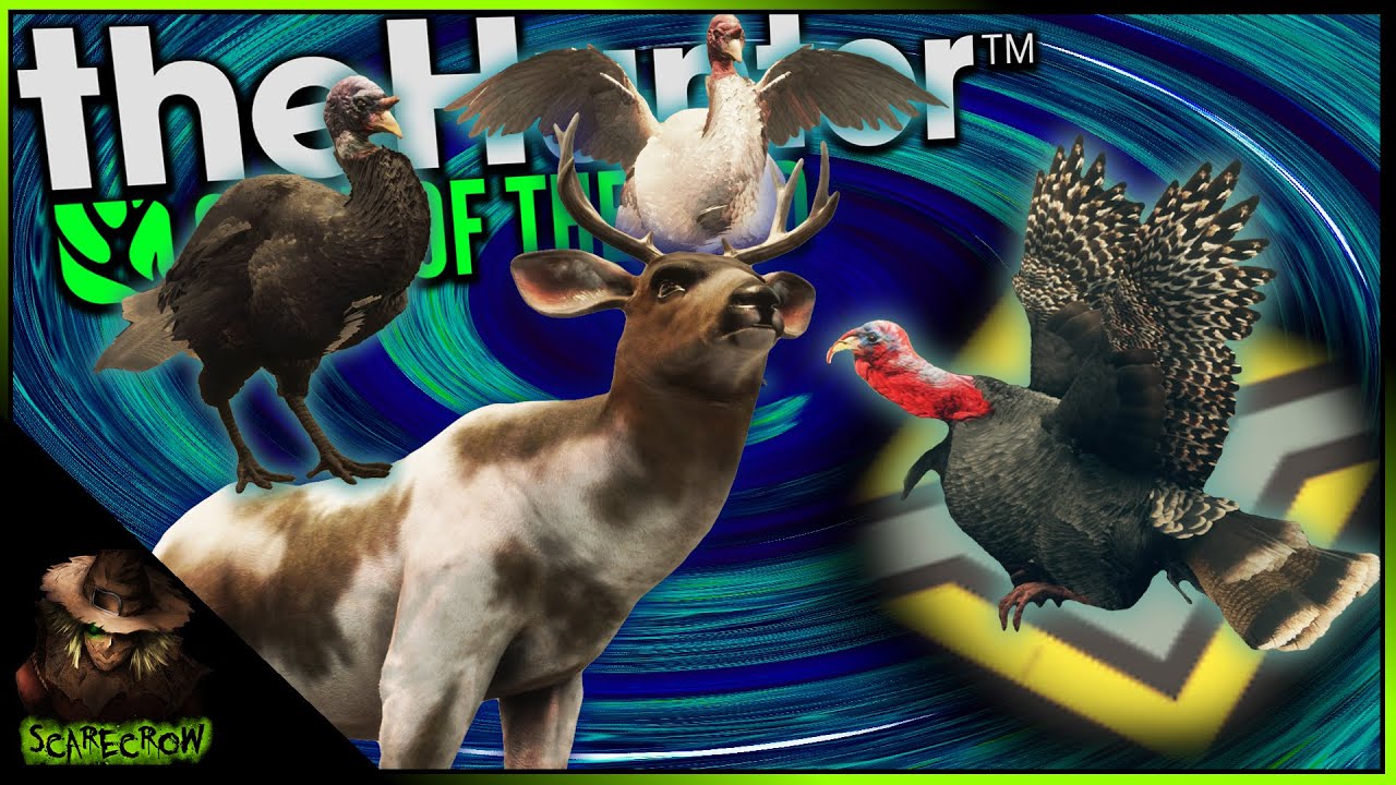 Melanistic & 3 Other Trophy Turkeys In 2 Hours! + A Piebald Mule Deer