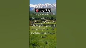 سورة البقرة 🫀#قرآن #قران_كريم #ختم_القران #تلاوة_خاشعة #تلاوة_هادئة  #سورة_البقرة #آية_الكرسي #مصر