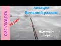 Русская рыбалка 4 - Ладожское озеро - Сиг-лудога за буйками