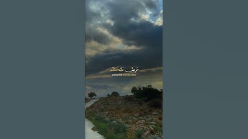 تلاوة هادئه تريح القلب ❤ قران كريم ❤ قرآن ❤قران ❤ تلاوة خاشعة ❤أرح سمعك ❤ short