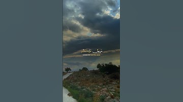 تلاوة هادئه تريح القلب ❤ قران كريم ❤ قرآن ❤قران ❤ تلاوة خاشعة ❤أرح سمعك ❤ short