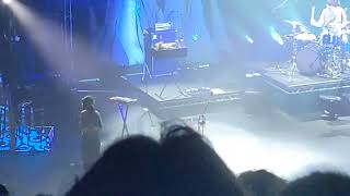cavetown frog live