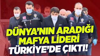 Uluslararası Suç Örgütleri Türkiyede Cirit Atıyor Krt Haber